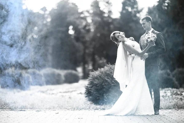 Gelin ve damat Park dans düğün 