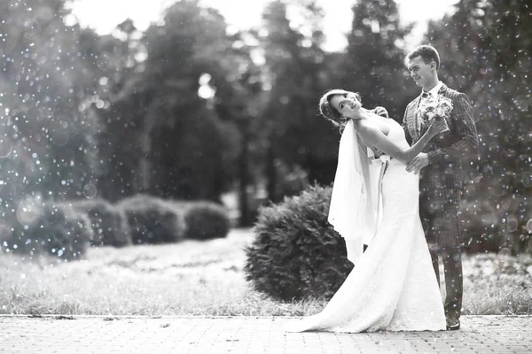 Gelin ve damat parkta 