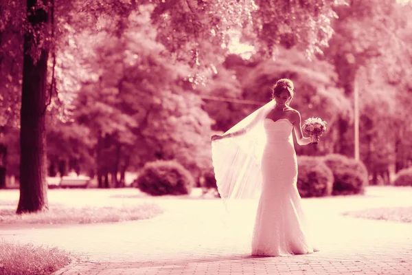 Novia en vestido de novia blanco — Foto de Stock