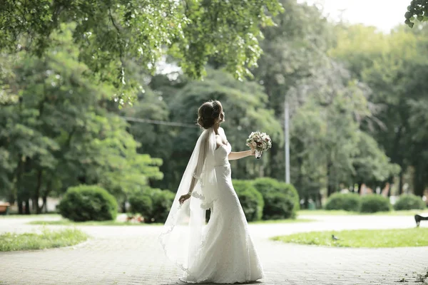 Noiva em vestido de noiva branco — Fotografia de Stock