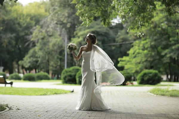 Mireasă în rochie de mireasă albă — Fotografie, imagine de stoc