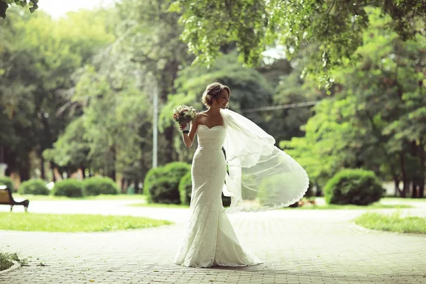 Novia en vestido de novia blanco —  Fotos de Stock