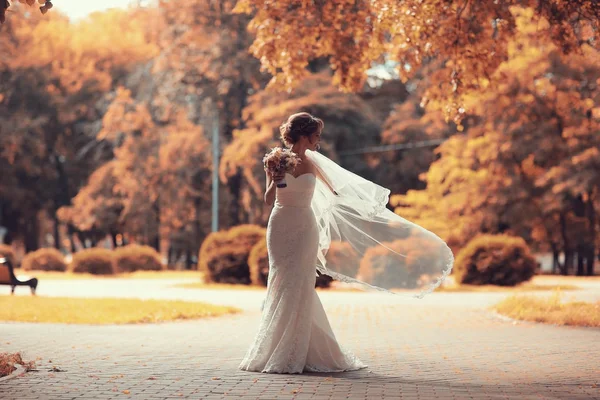 Gelin beyaz gelinlik içinde  