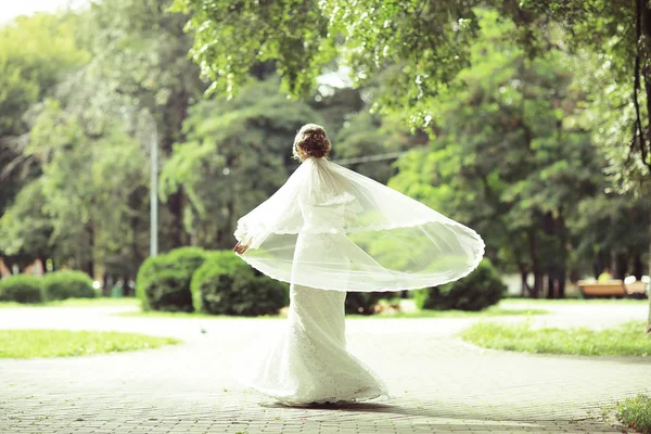 Bela noiva no parque de verão — Fotografia de Stock