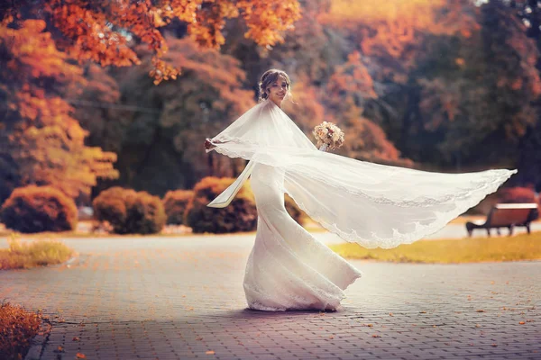 Sposa in abito da sposa bianco — Foto Stock