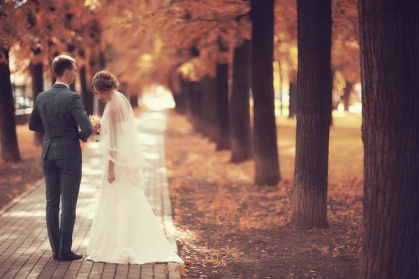 Gelin ve damat sonbahar parkında — Stok fotoğraf