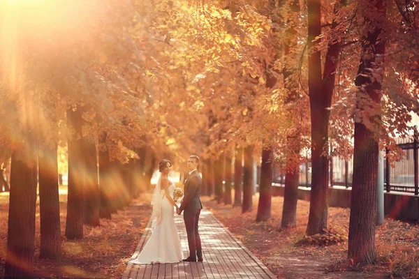 Novia y novio en el parque de otoño — Foto de Stock