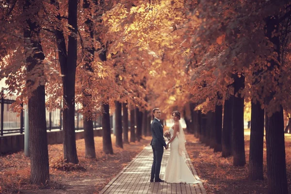 Novia y novio en el parque de otoño —  Fotos de Stock