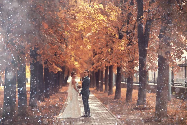 gelin ve damat sonbahar parkında