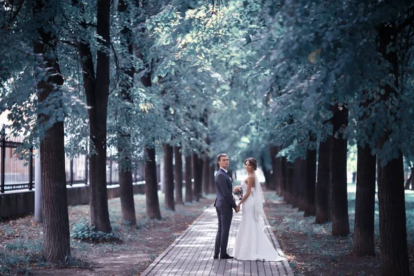 Наречений і наречений в літньому парку — стокове фото