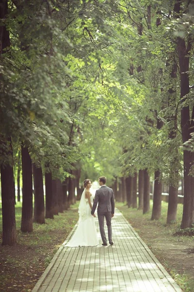 Gelin ve damat yaz Park