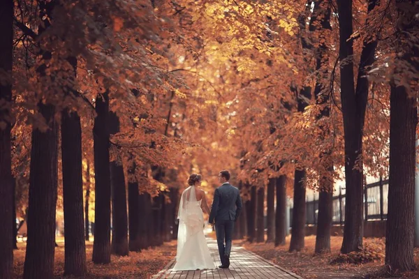 gelin ve damat sonbahar parkında