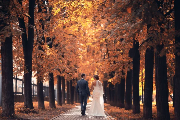 Bride and groom in autumn park — Stock Photo, Image