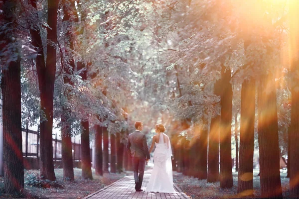 Novia y novio en el parque — Foto de Stock