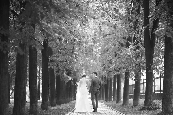 Gelin ve damat parkta