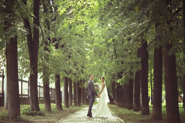 Menyasszony és a vőlegény a nyári park — Stock Fotó