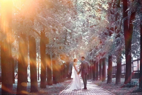 Gelin ve damat yaz Park