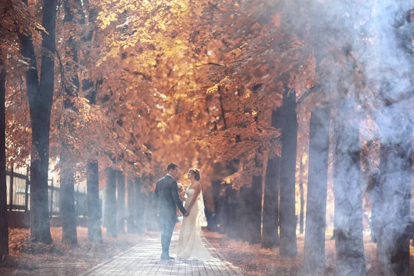 gelin ve damat sonbahar parkında