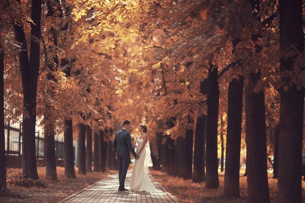 gelin ve damat sonbahar parkında