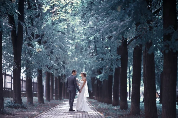 Mariée et marié dans le parc d'été — Photo