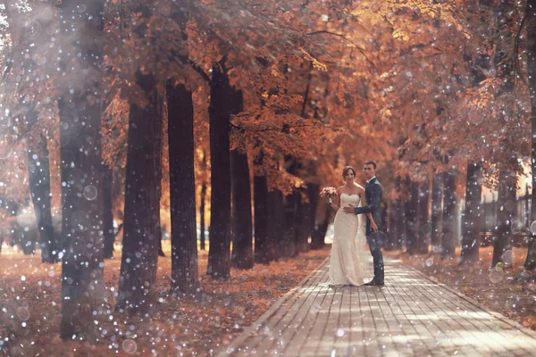 Mariée et marié dans le parc d'automne — Photo