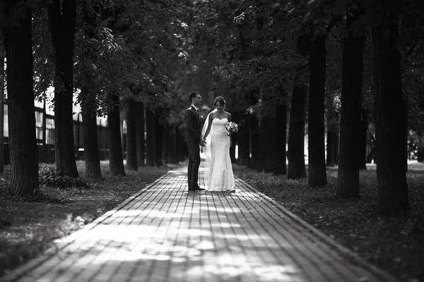 Gelin ve damat parkta