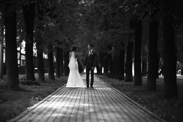 Gelin ve damat parkta 