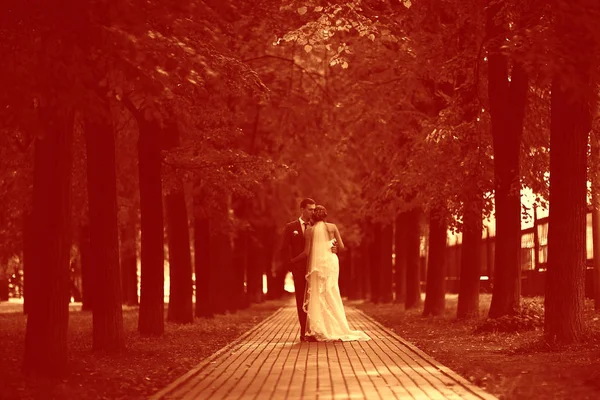 Жених и невеста в осеннем парке — стоковое фото