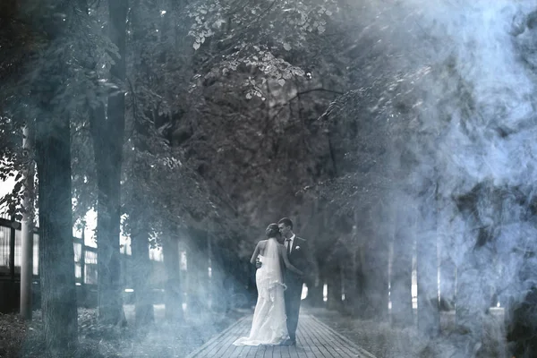 Gelin ve damat parkta 