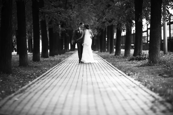 Bride and groom in park — Stock Photo, Image