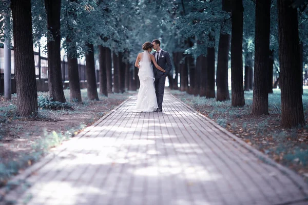 Bruden och brudgummen i sommaren park — Stockfoto