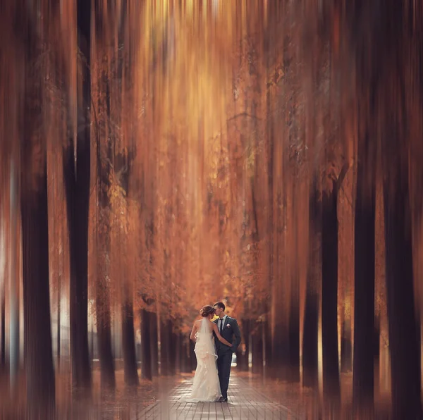 Bruid en bruidegom in herfstpark — Stockfoto