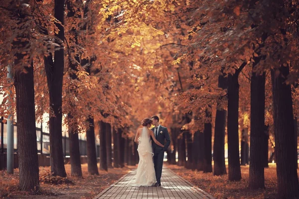 Noiva e noivo no parque de outono — Fotografia de Stock