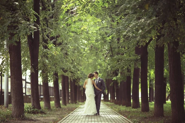 Bruid en bruidegom in zomer park — Stockfoto