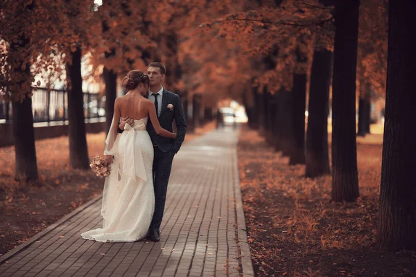 Menyasszony és vőlegény az őszi parkban — Stock Fotó