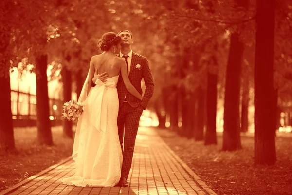 Νύφη και γαμπρός στο πάρκο φθινόπωρο — Φωτογραφία Αρχείου