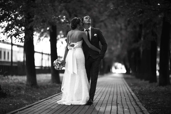 Novia y novio en el parque — Foto de Stock