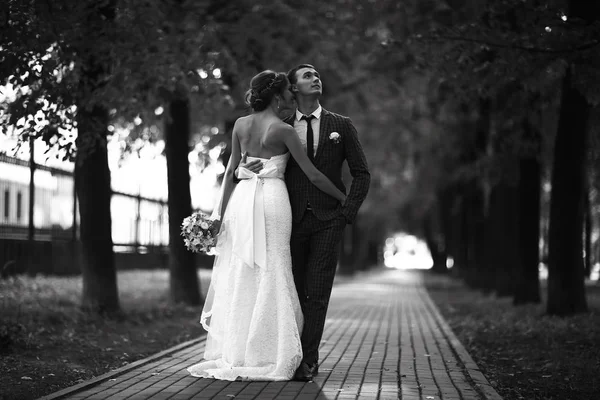 Noiva e noivo no parque — Fotografia de Stock