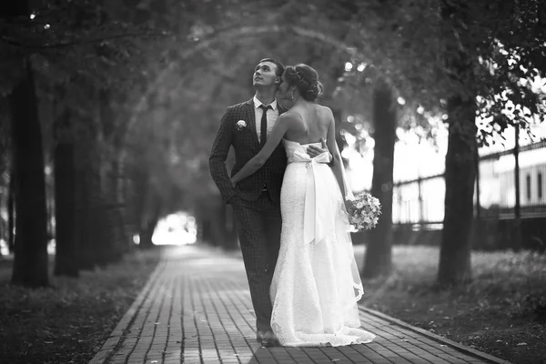 Novia y novio en el parque — Foto de Stock