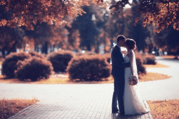 gelin ve damat sonbahar parkında