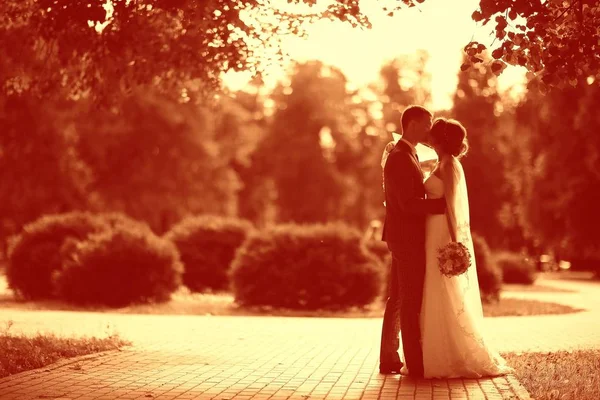Noiva e noivo no parque de outono — Fotografia de Stock