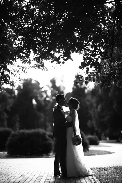 Bruid en bruidegom in zomer park — Stockfoto