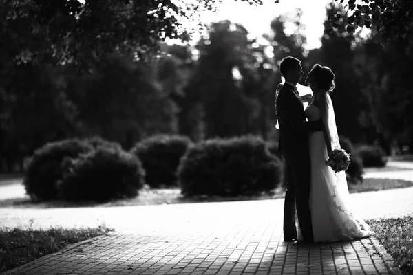 Bride and groom in summer park — Stock Photo, Image