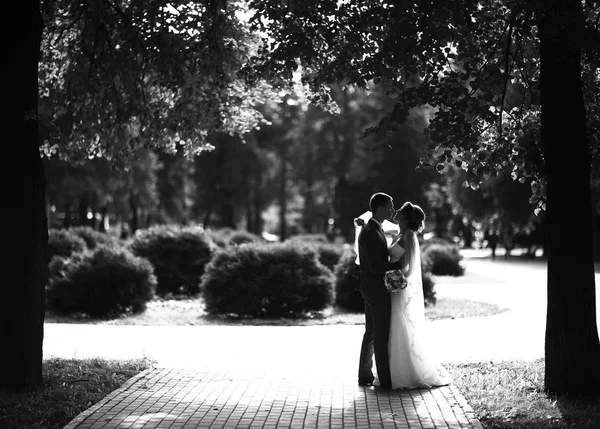 Gelin ve damat yaz Park