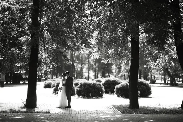 Gelin ve damat parkta