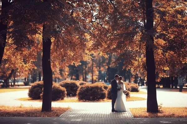 gelin ve damat sonbahar parkında