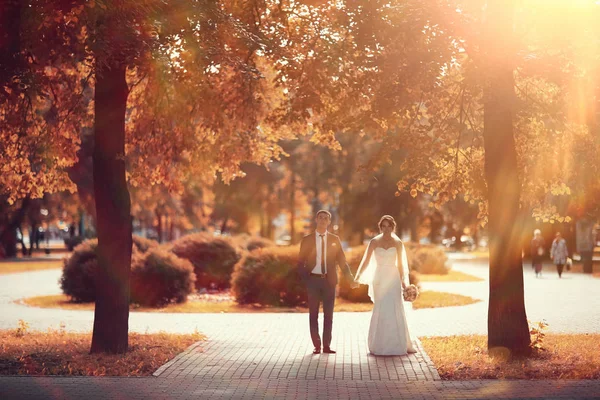 gelin ve damat sonbahar parkında