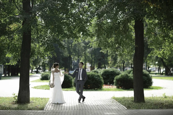 Bride and groom in summer park — Stock Photo, Image