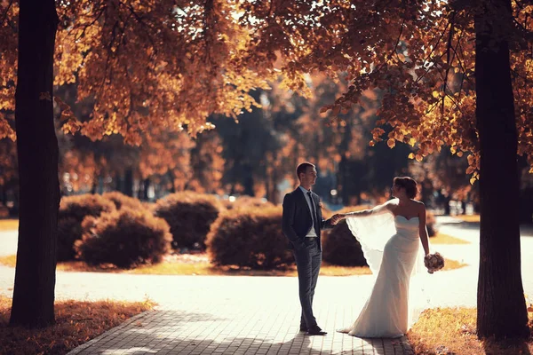 Νύφη και γαμπρός στο πάρκο φθινόπωρο — Φωτογραφία Αρχείου