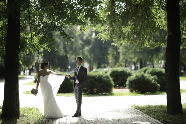 Жених и невеста в летнем парке — стоковое фото